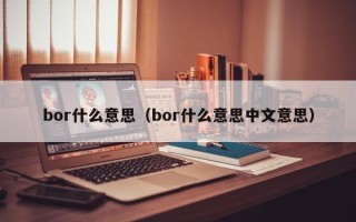 bor什么意思（bor什么意思中文意思）