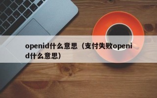 openid什么意思（支付失败openid什么意思）