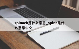 spinach是什么意思_spina是什么意思中文