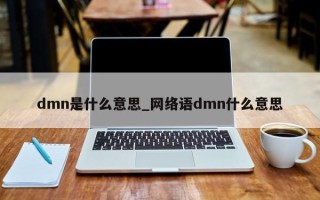 dmn是什么意思_网络语dmn什么意思