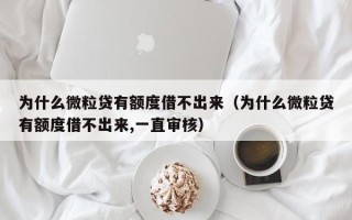 为什么微粒贷有额度借不出来（为什么微粒贷有额度借不出来,一直审核）