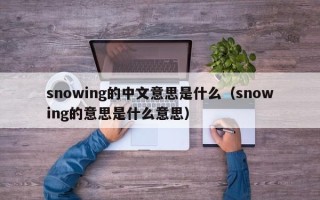 snowing的中文意思是什么（snowing的意思是什么意思）