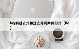 lay的过去式和过去分词两种形式（lie）