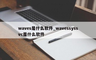 waves是什么软件_wavessyssvc是什么软件
