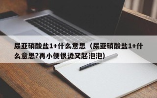 尿亚硝酸盐1+什么意思（尿亚硝酸盐1+什么意思?再小便很烫又起泡泡）