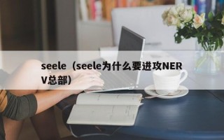 seele（seele为什么要进攻NERV总部）