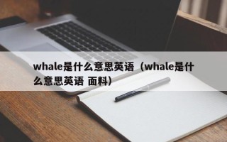 whale是什么意思英语（whale是什么意思英语 面料）