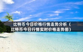 比特币今日价格行情走势分析（比特币今日行情实时价格走势图）