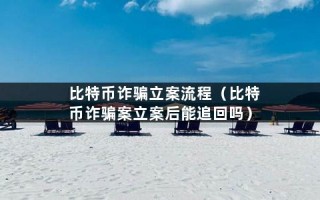 比特币诈骗立案流程（比特币诈骗案立案后能追回吗）