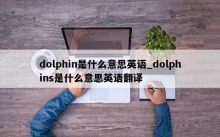 dolphin是什么意思英语_dolphins是什么意思英语翻译