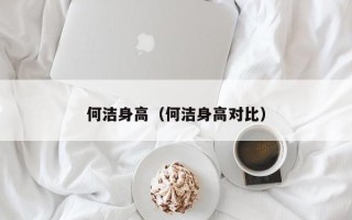 何洁身高（何洁身高对比）