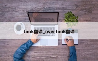 took翻译_overtook翻译