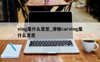 ving是什么意思_滑板carving是什么意思