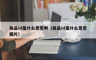 商品id是什么意思啊（商品id是什么意思图片）