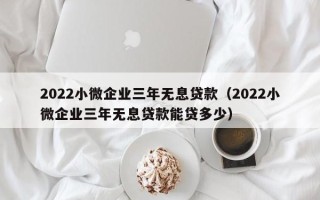 2022小微企业三年无息贷款（2022小微企业三年无息贷款能贷多少）