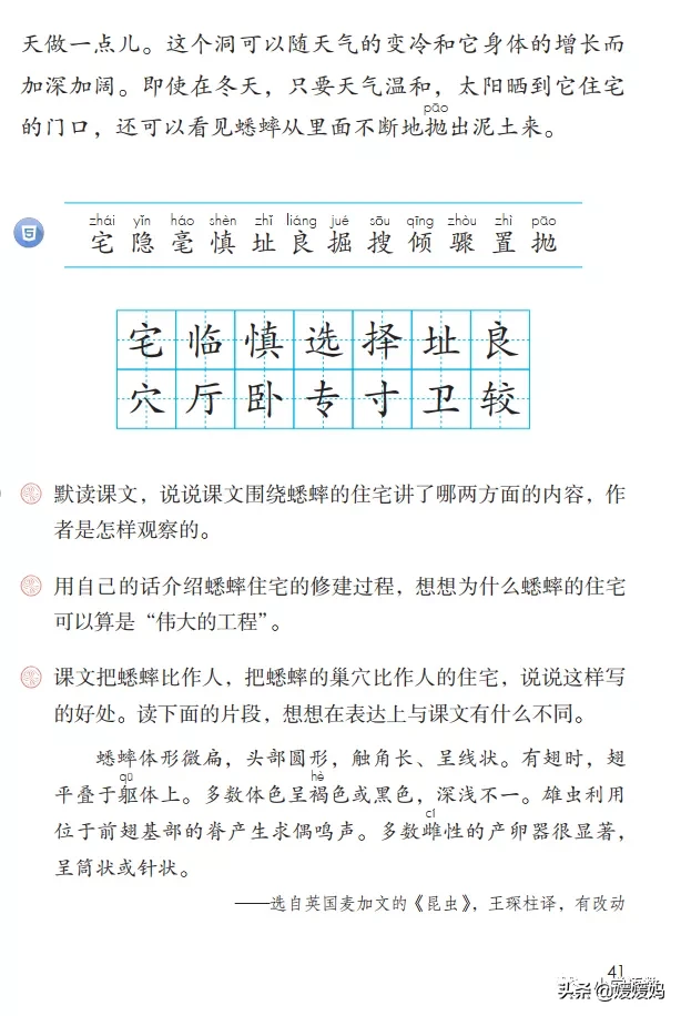 虫字旁的有什么字（木字旁的有什么字）-第3张图片-巴山号