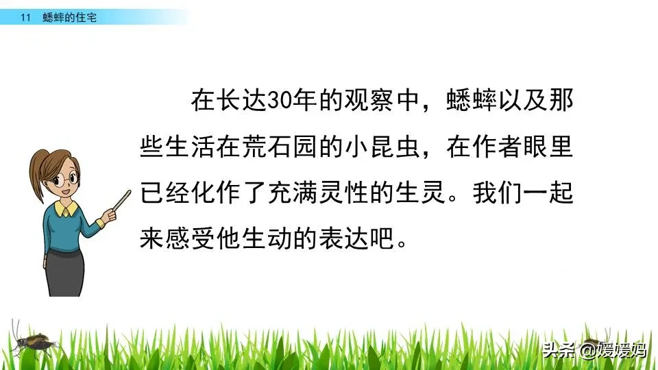 虫字旁的有什么字（木字旁的有什么字）-第68张图片-巴山号