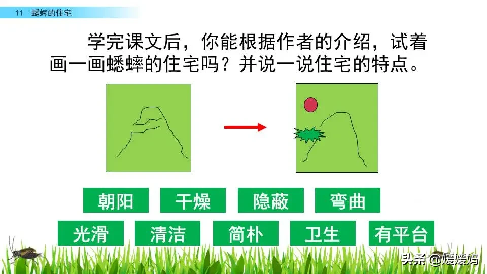 虫字旁的有什么字（木字旁的有什么字）-第76张图片-巴山号