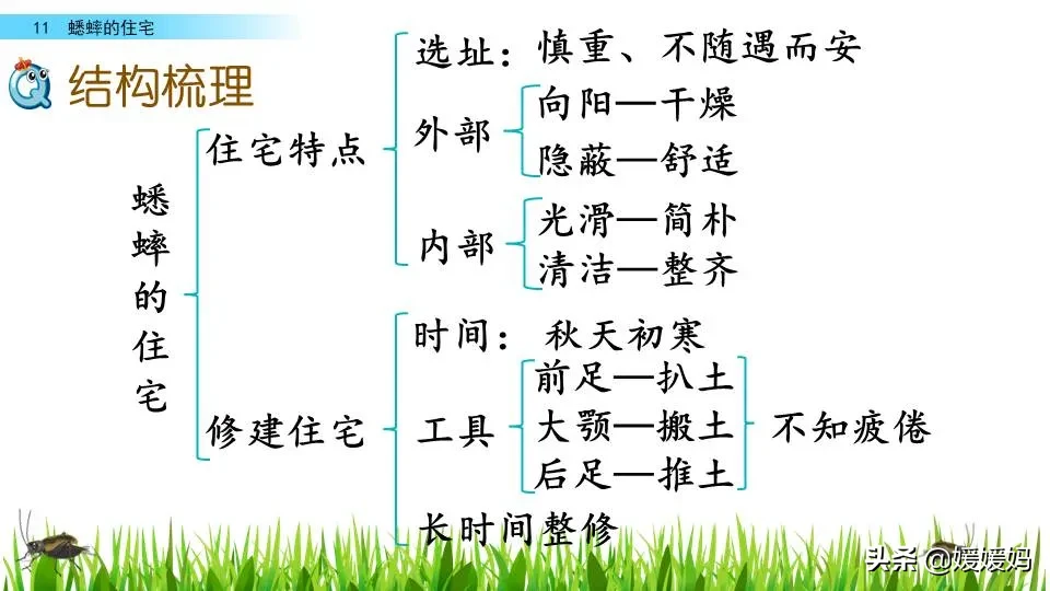 虫字旁的有什么字（木字旁的有什么字）-第80张图片-巴山号