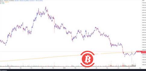 BTC价格正在冲向24,000 美元 预计价格将进一步上涨-第1张图片-巴山号