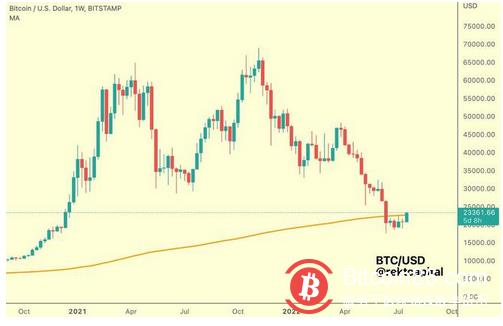 BTC价格正在冲向24,000 美元 预计价格将进一步上涨-第2张图片-巴山号