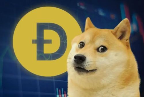 DOGE手机钱包交易所下载 DOGE币交易平台v6.3.8免费下载-第5张图片-巴山号