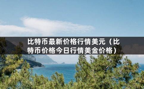 比特币最新价格行情美元（比特币价格今日行情美金价格）-第1张图片-巴山号