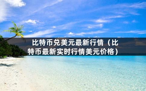 比特币兑美元最新行情（比特币最新实时行情美元价格）-第1张图片-巴山号