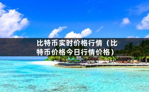 比特币实时价格行情（比特币价格今日行情价格）-第1张图片-巴山号