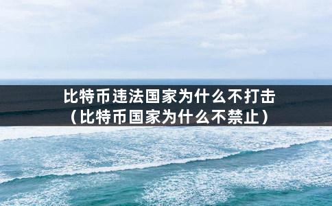 比特币违法国家为什么不打击（比特币国家为什么不禁止）-第1张图片-巴山号