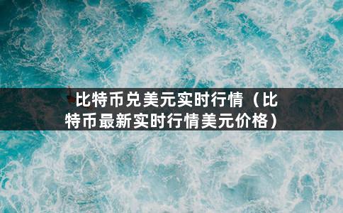 比特币兑美元实时行情（比特币最新实时行情美元价格）-第1张图片-巴山号