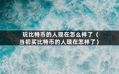 玩比特币的人现在怎么样了（当初买比特币的人现在怎样了）-第1张图片-巴山号