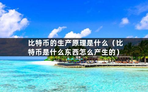 比特币的生产原理是什么（比特币是什么东西怎么产生的）-第1张图片-巴山号