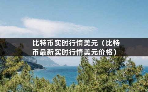 比特币实时行情美元（比特币最新实时行情美元价格）-第1张图片-巴山号