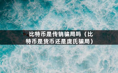 比特币是传销骗局吗（比特币是货币还是庞氏骗局）-第1张图片-巴山号