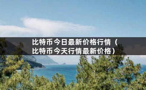 比特币今日最新价格行情（比特币今天行情最新价格）-第1张图片-巴山号