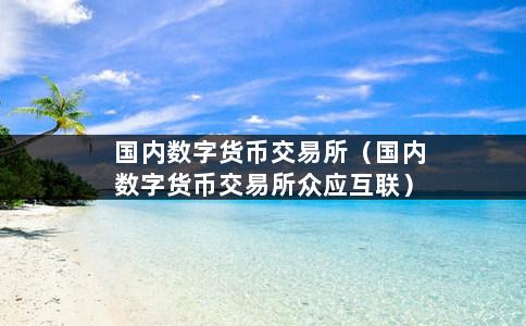 国内数字货币交易所（国内数字货币交易所众应互联）-第1张图片-巴山号