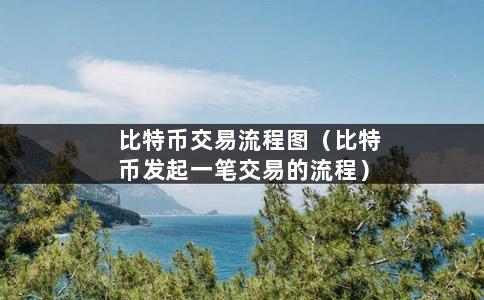 比特币交易流程图（比特币发起一笔交易的流程）-第1张图片-巴山号