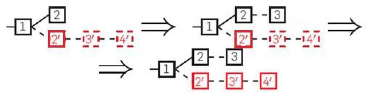 盘点常见的9种区块链攻击方式-第5张图片-巴山号