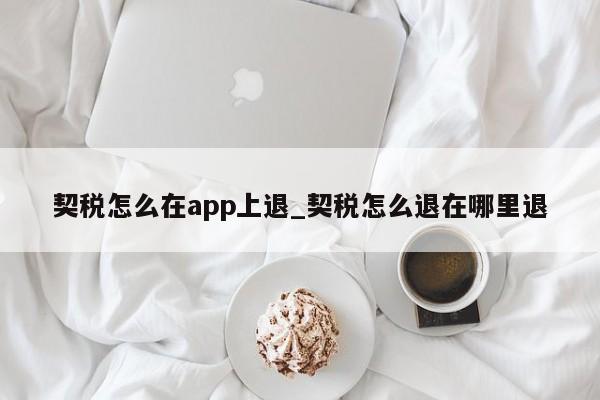 契税怎么在app上退_契税怎么退在哪里退-第1张图片-巴山号