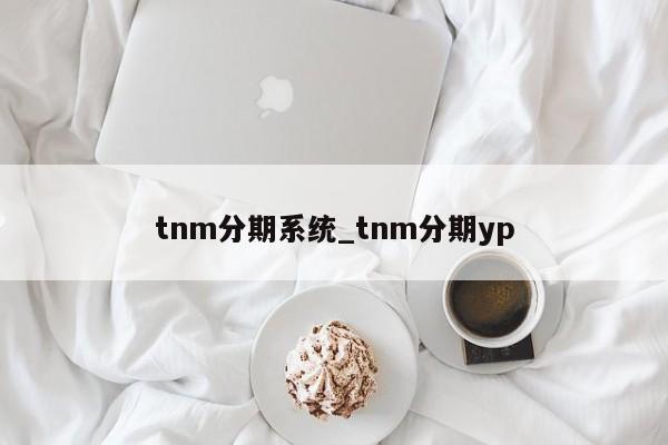 tnm分期系统_tnm分期yp-第1张图片-巴山号