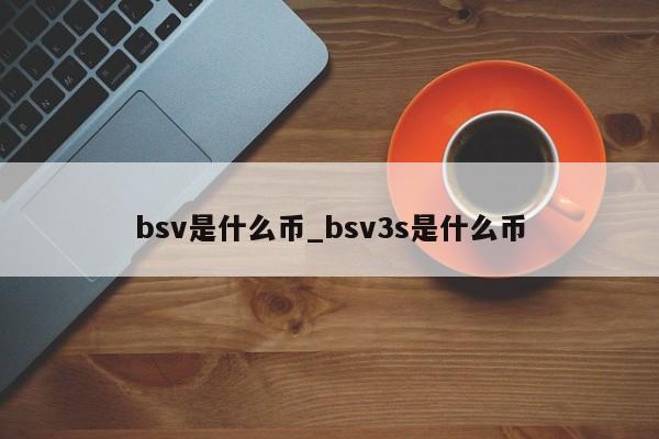 bsv是什么币_bsv3s是什么币-第1张图片-巴山号