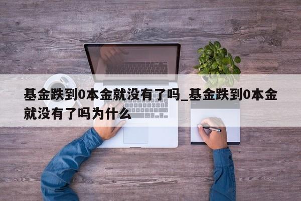 基金跌到0本金就没有了吗_基金跌到0本金就没有了吗为什么-第1张图片-巴山号