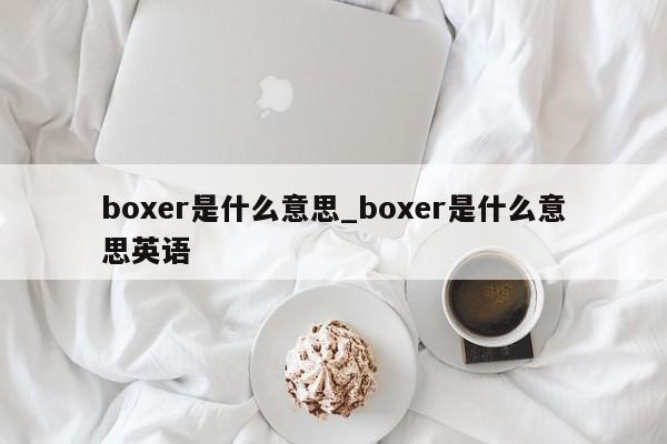 boxer是什么意思_boxer是什么意思英语-第1张图片-巴山号