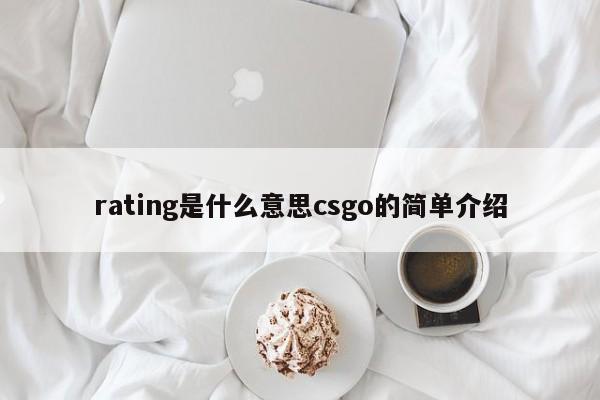 rating是什么意思csgo的简单介绍-第1张图片-巴山号