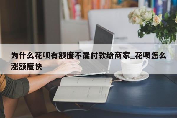 为什么花呗有额度不能付款给商家_花呗怎么涨额度快-第1张图片-巴山号