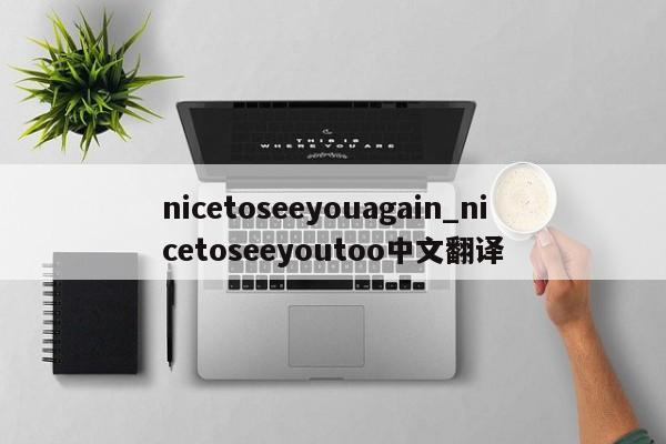 nicetoseeyouagain_nicetoseeyoutoo中文翻译-第1张图片-巴山号