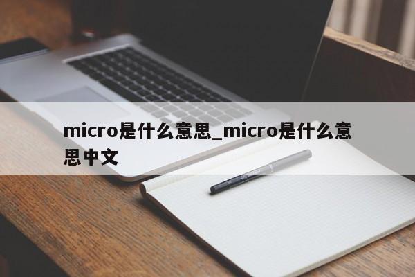 micro是什么意思_micro是什么意思中文-第1张图片-巴山号