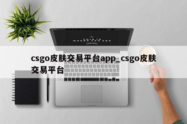 csgo皮肤交易平台app_csgo皮肤交易平台-第1张图片-巴山号