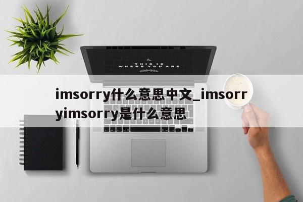 imsorry什么意思中文_imsorryimsorry是什么意思-第1张图片-巴山号